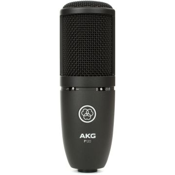 AKG P120 Microfono a condensatore Diaframma Largo